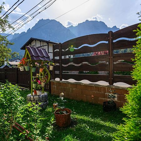 Casa Ramino Hotel Buşteni Buitenkant foto