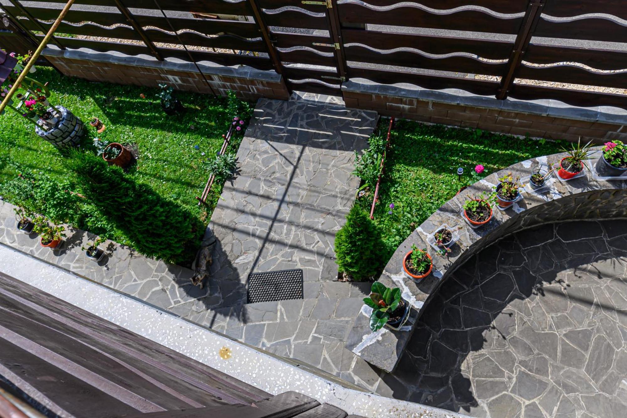 Casa Ramino Hotel Buşteni Buitenkant foto